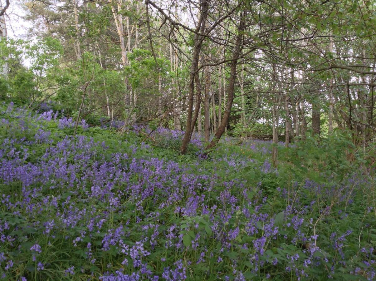 Dower House Newtonmore B&B Esterno foto